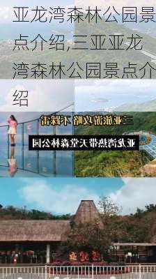 亚龙湾森林公园景点介绍,三亚亚龙湾森林公园景点介绍