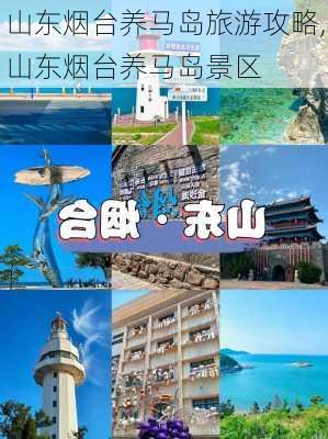 山东烟台养马岛旅游攻略,山东烟台养马岛景区