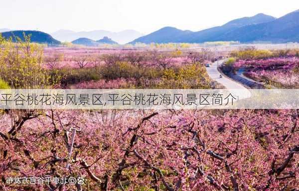 平谷桃花海风景区,平谷桃花海风景区简介