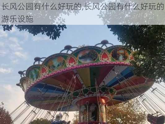 长风公园有什么好玩的,长风公园有什么好玩的游乐设施