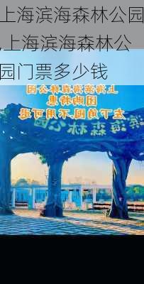 上海滨海森林公园,上海滨海森林公园门票多少钱