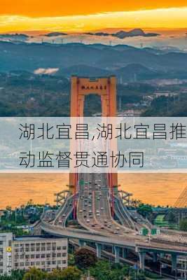 湖北宜昌,湖北宜昌推动监督贯通协同