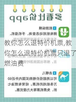 教你怎么退特价机票,教你怎么退特价机票只退了燃油费