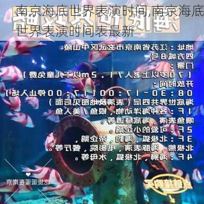 南京海底世界表演时间,南京海底世界表演时间表最新