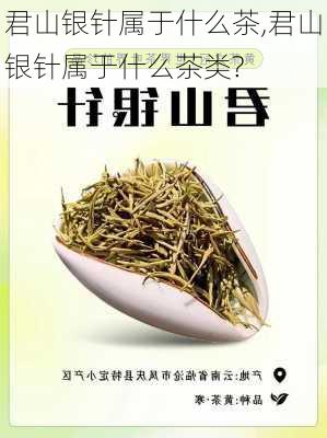 君山银针属于什么茶,君山银针属于什么茶类?