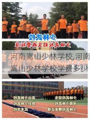 河南嵩山少林学校,河南嵩山少林学校学费多少