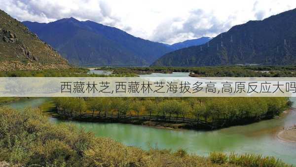 西藏林芝,西藏林芝海拔多高,高原反应大吗