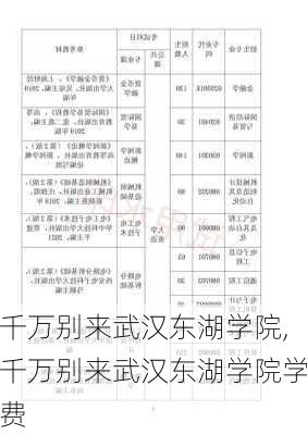 千万别来武汉东湖学院,千万别来武汉东湖学院学费