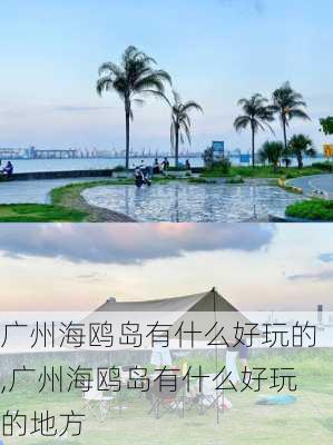 广州海鸥岛有什么好玩的,广州海鸥岛有什么好玩的地方