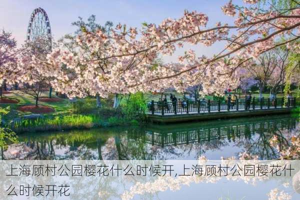 上海顾村公园樱花什么时候开,上海顾村公园樱花什么时候开花