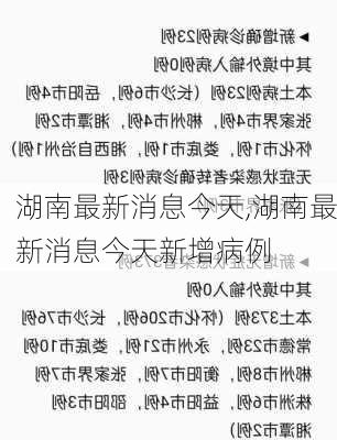 湖南最新消息今天,湖南最新消息今天新增病例