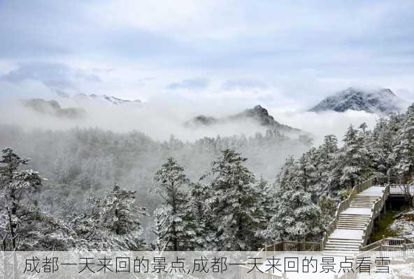 成都一天来回的景点,成都一天来回的景点看雪