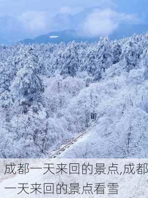 成都一天来回的景点,成都一天来回的景点看雪