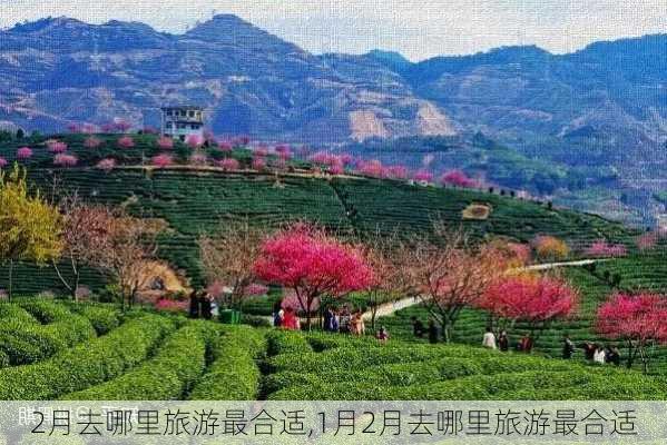 2月去哪里旅游最合适,1月2月去哪里旅游最合适