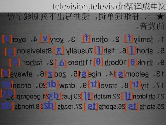 television,television翻译成中文