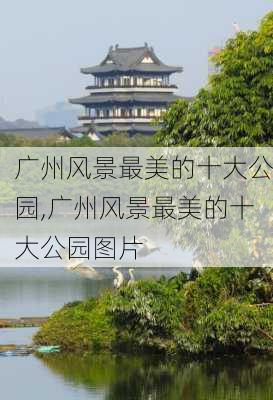 广州风景最美的十大公园,广州风景最美的十大公园图片