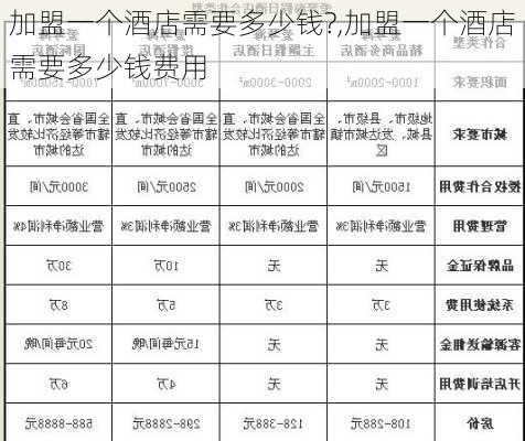 加盟一个酒店需要多少钱?,加盟一个酒店需要多少钱费用