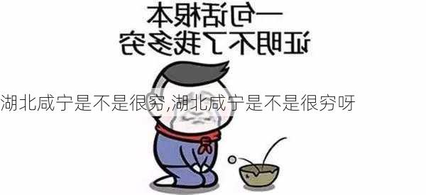 湖北咸宁是不是很穷,湖北咸宁是不是很穷呀