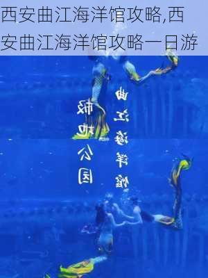 西安曲江海洋馆攻略,西安曲江海洋馆攻略一日游