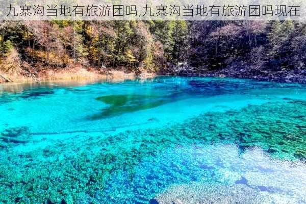 九寨沟当地有旅游团吗,九寨沟当地有旅游团吗现在