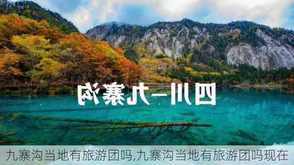 九寨沟当地有旅游团吗,九寨沟当地有旅游团吗现在