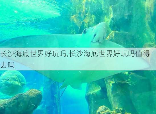 长沙海底世界好玩吗,长沙海底世界好玩吗值得去吗