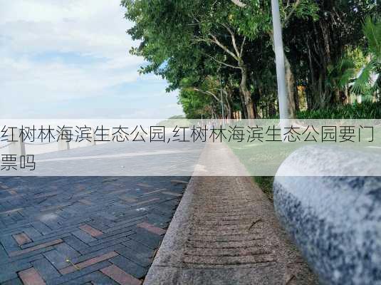 红树林海滨生态公园,红树林海滨生态公园要门票吗