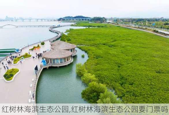 红树林海滨生态公园,红树林海滨生态公园要门票吗