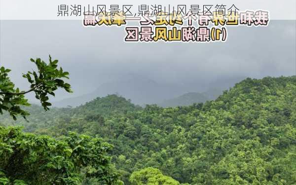 鼎湖山风景区,鼎湖山风景区简介