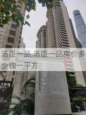 汤臣一品,汤臣一品房价多少钱一平方