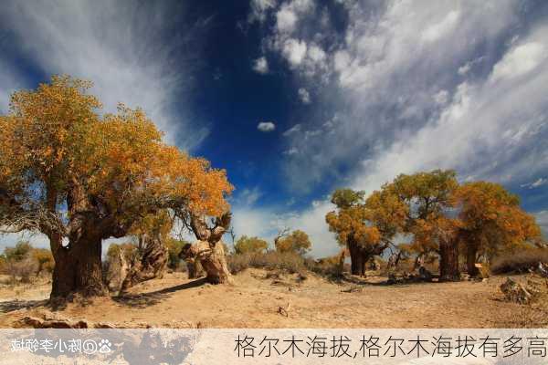 格尔木海拔,格尔木海拔有多高