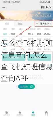 怎么查飞机航班信息查询,怎么查飞机航班信息查询APP