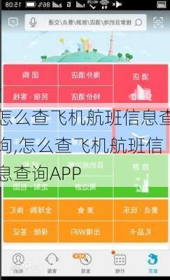 怎么查飞机航班信息查询,怎么查飞机航班信息查询APP