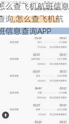 怎么查飞机航班信息查询,怎么查飞机航班信息查询APP