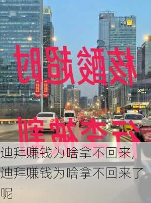 迪拜赚钱为啥拿不回来,迪拜赚钱为啥拿不回来了呢