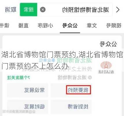 湖北省博物馆门票预约,湖北省博物馆门票预约不上怎么办