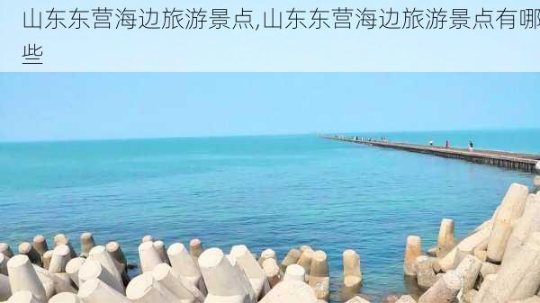 山东东营海边旅游景点,山东东营海边旅游景点有哪些