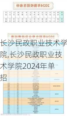 长沙民政职业技术学院,长沙民政职业技术学院2024年单招