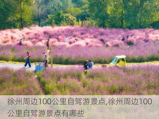 徐州周边100公里自驾游景点,徐州周边100公里自驾游景点有哪些