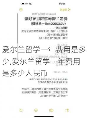 爱尔兰留学一年费用是多少,爱尔兰留学一年费用是多少人民币