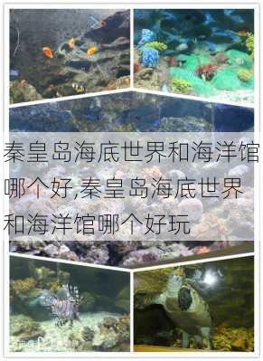 秦皇岛海底世界和海洋馆哪个好,秦皇岛海底世界和海洋馆哪个好玩