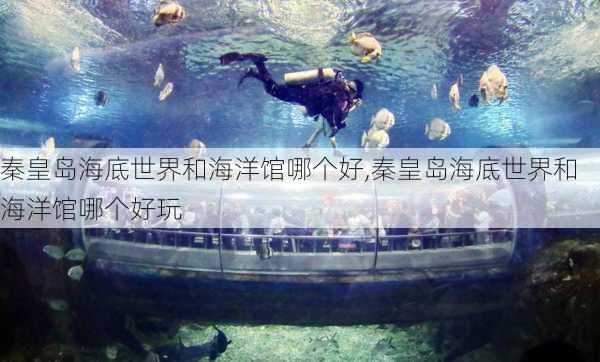 秦皇岛海底世界和海洋馆哪个好,秦皇岛海底世界和海洋馆哪个好玩