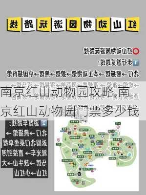 南京红山动物园攻略,南京红山动物园门票多少钱