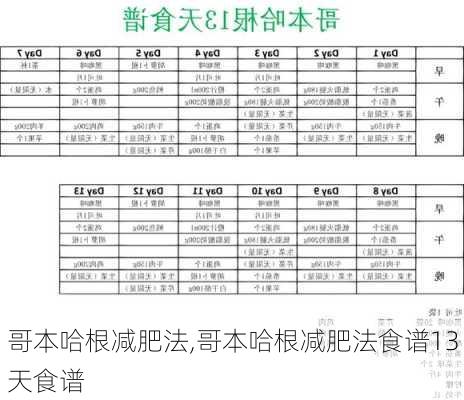 哥本哈根减肥法,哥本哈根减肥法食谱13天食谱