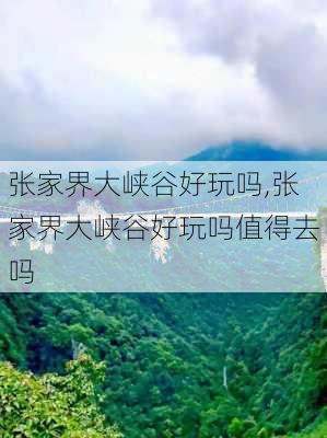 张家界大峡谷好玩吗,张家界大峡谷好玩吗值得去吗