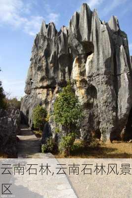 云南石林,云南石林风景区