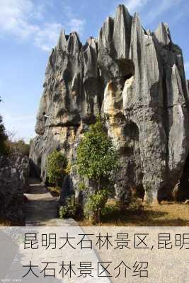 昆明大石林景区,昆明大石林景区介绍