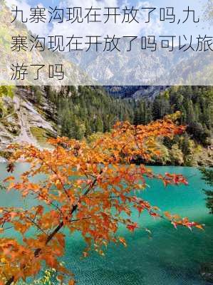 九寨沟现在开放了吗,九寨沟现在开放了吗可以旅游了吗