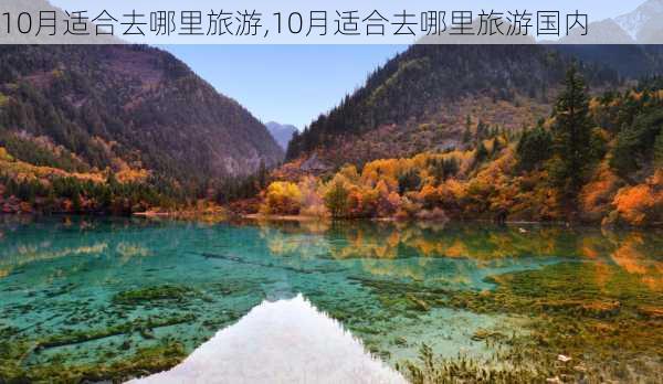 10月适合去哪里旅游,10月适合去哪里旅游国内