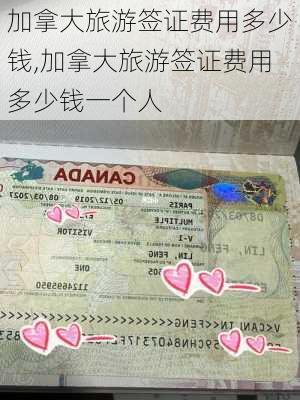 加拿大旅游签证费用多少钱,加拿大旅游签证费用多少钱一个人